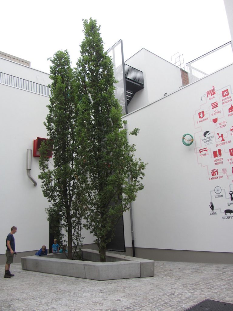 bomen-aanplanten-bestrating-01