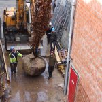 bomen-aanplanten-bestrating-03