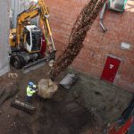bomen-aanplanten-bestrating-04