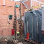 bomen-aanplanten-bestrating-06