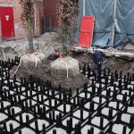 bomen-aanplanten-bestrating-08