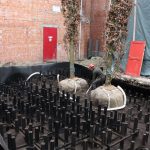 bomen-aanplanten-bestrating-09